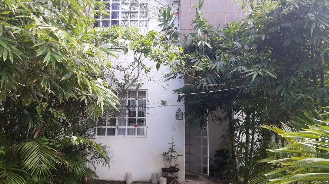 Renta Habitacion En Casa Particular contacts